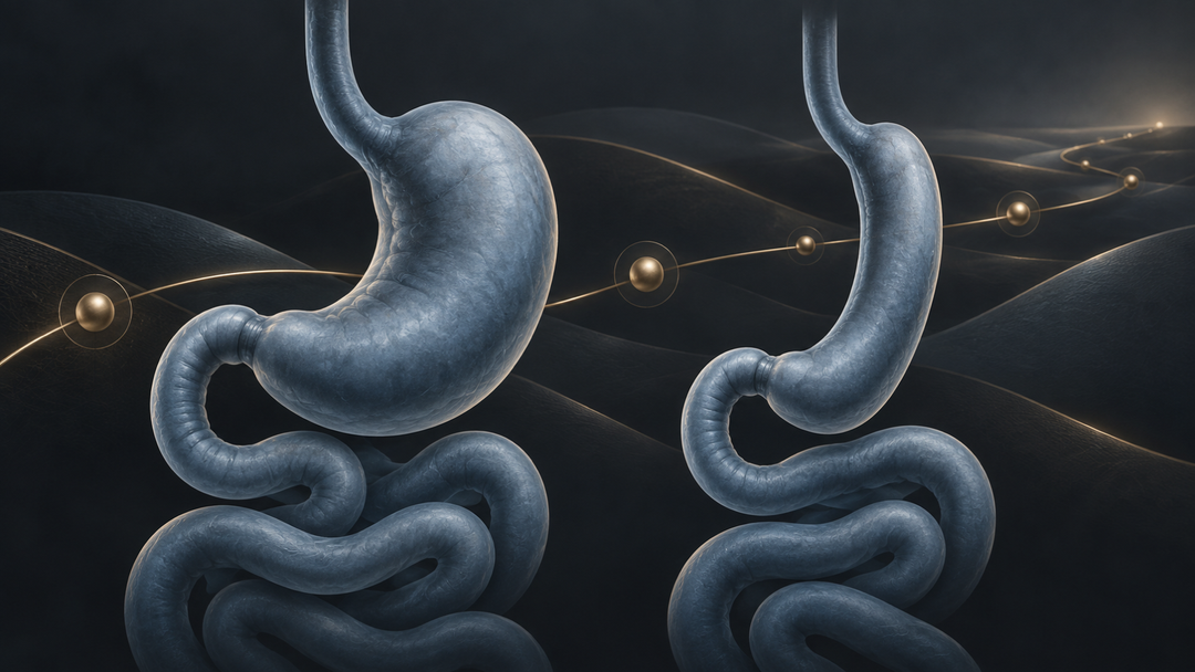 Original medical illustration for: 70 Years of Weight-Loss Surgery Research: What We Know, What We Don't, and Why That Matters for Patients
