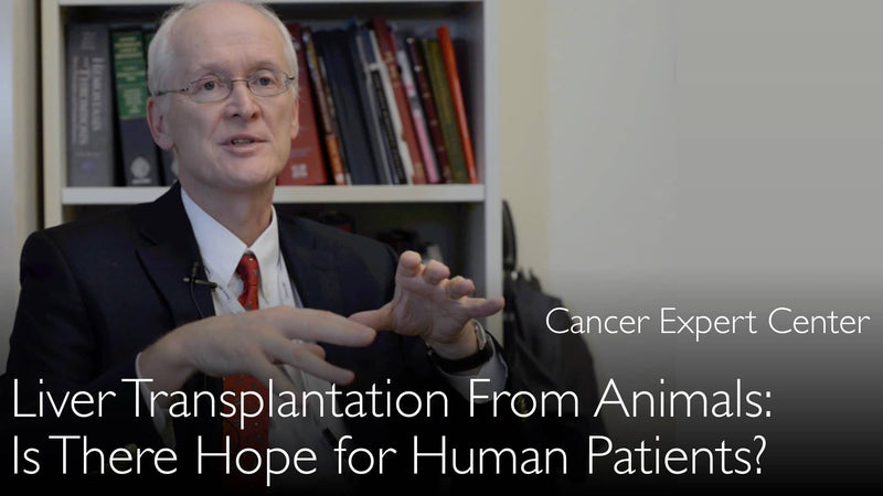 Трансплантация печени от животных. Надежда и трудности. 8