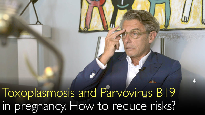 Токсоплазмоз и парвовирус В19 при беременности. Как снизить риски? 4