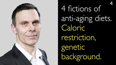 4 fictions of anti-aging diets. Caloric restriction, genetic background. 4
