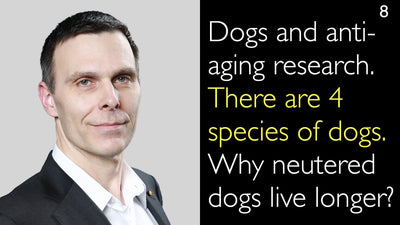 Dogs and anti-aging research. There are 4 species of dogs. Why neutered dogs live longer? 8